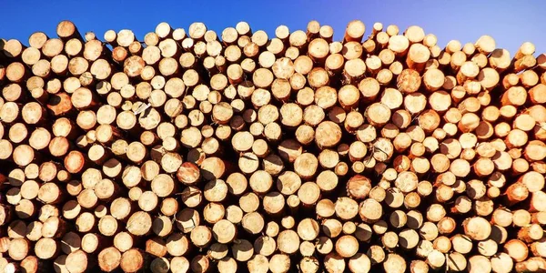 Ein Stapel Brennholz — Stockfoto
