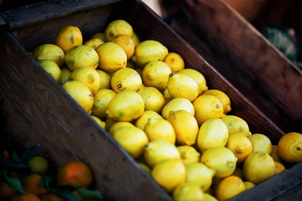 Zitronen Früchte Korb Markt Lebensmittel Gesund — Stockfoto