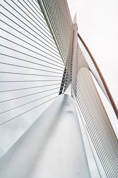 Alacsony Szögű Fénykép Híd — Stock Fotó