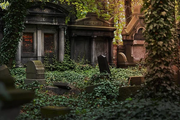 Cemitério Floresta Coberto Com Gramíneas — Fotografia de Stock