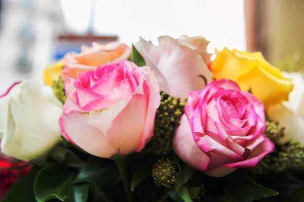 Ροζ Λευκά Και Κίτρινα Λουλούδια — Φωτογραφία Αρχείου