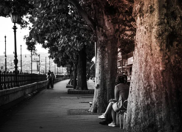 Graustufen Foto Einer Frau Die Einem Stuhl Neben Bäumen Sitzt — Stockfoto
