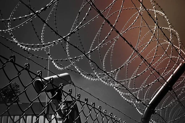 Grayscale Photo Barbed Wire — Stock Photo, Image