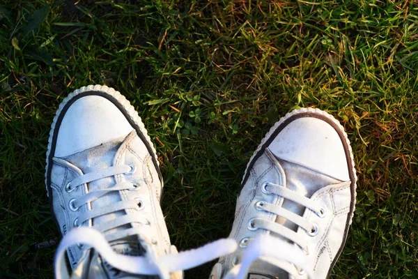 Pair White Lace Sneakers Top Green Grass — 스톡 사진