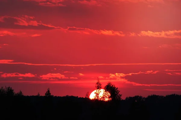 Person Zeigt Sonnenuntergangsszenerie — Stockfoto