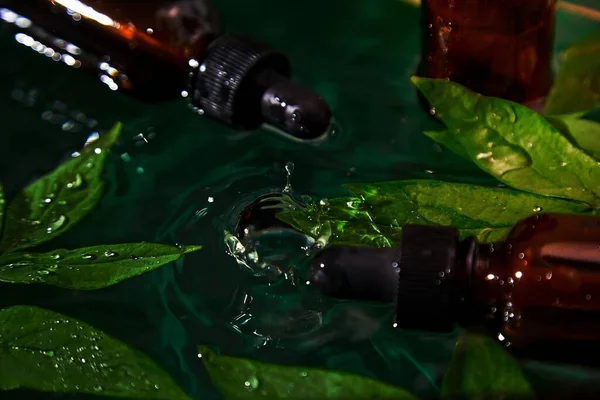Fles Met Kruidenserum Olie Cosmetische Reclame Eenvoudige Natuurlijke Huidverzorging Concept — Stockfoto