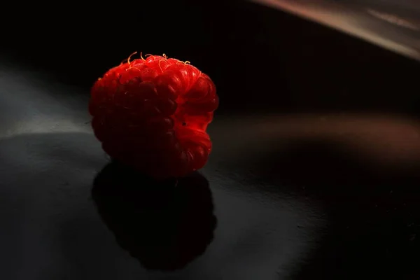 Egy Kép Berryről — Stock Fotó