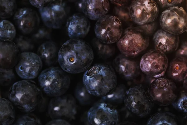 Una Imagen Blueberry Lot — Foto de Stock
