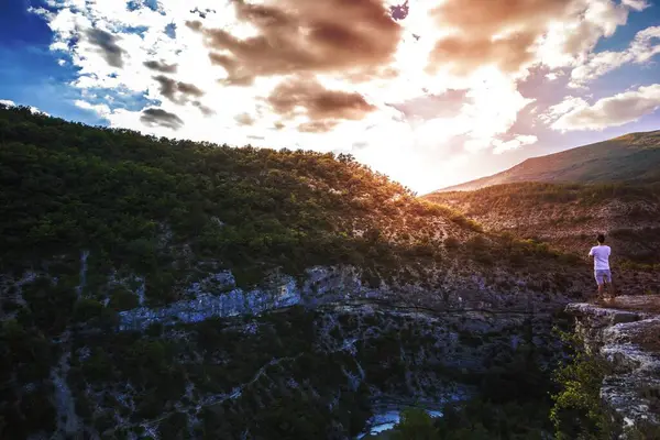 Paesaggio Fotografia Albero Verde Coperto Montagna Vicino Terre Vaste — Foto Stock