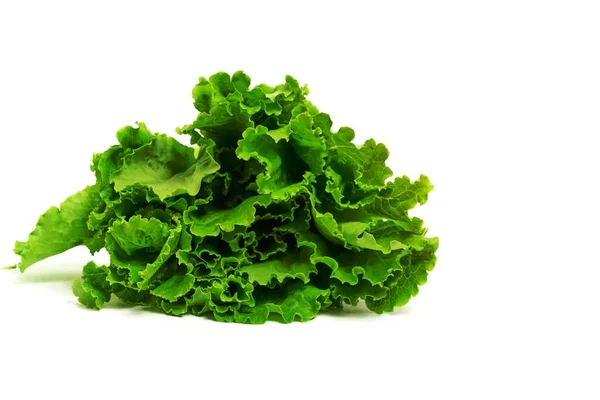 Green Leaves Fresh Lettuce White Background — Stockfoto
