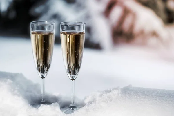 Closeup Two Champagne Flutes Cooling Snow Winter Nature Background Holiday — Stock fotografie