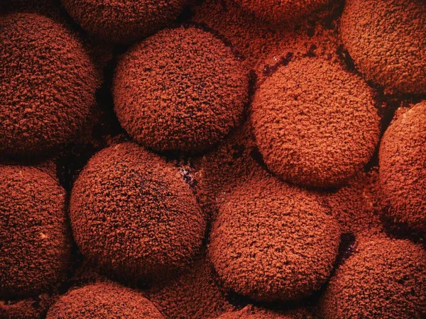 Tiramisú Postre Torta Comida Dulces Chocolate Coco — Foto de Stock