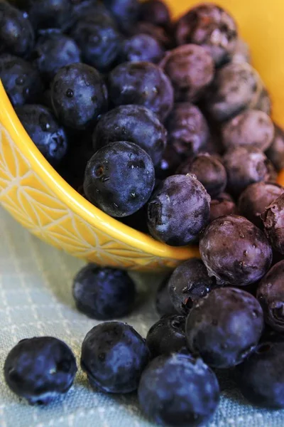 Arándanos Frutas Alimentos Tazón Saludable — Foto de Stock