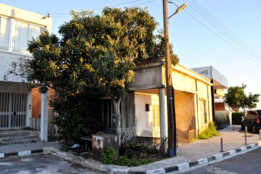 old house and the garden
