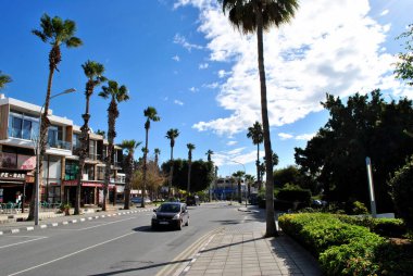 Road with palms and auto