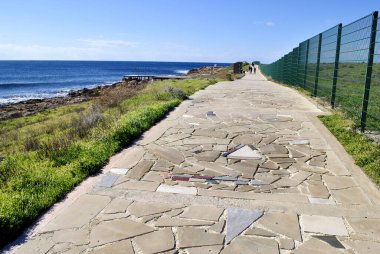 güzel bir plaj manzarası