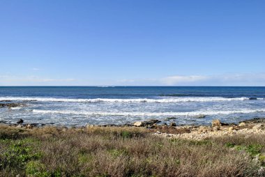 Seashore and water in Cyprus