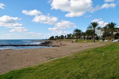 Palmiyeli güzel sahil