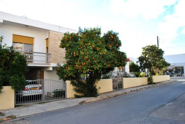 Stree in Cyprus with orange trees