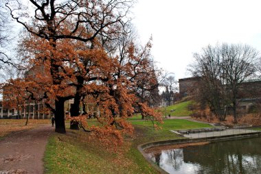 Ağaçlar ve bitkilerle dolu sonbahar manzarası