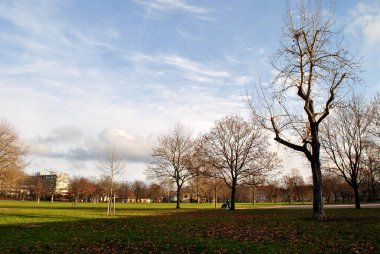 Ağaçlar ve yapraklarla dolu güzel sonbahar manzarası