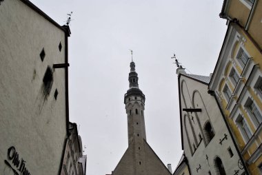 View of the city's town hall