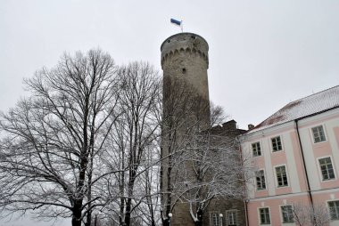 An old stone tower in the park