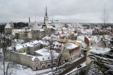 Kar ve ağaçlarla kaplı karlı kış manzarası