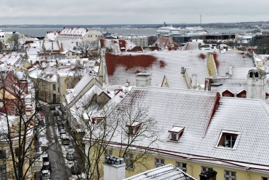 Roofs under snow in Estonia