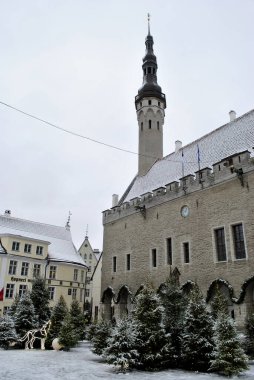 City hall in Tallinn