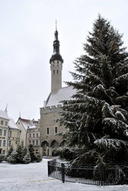 Town hall and the Christmas tree