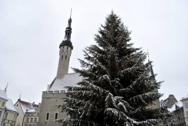 Christmas tree and the town hall