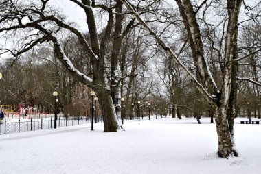 şehir içinde beyaz bir kilise