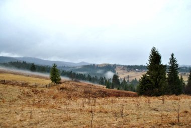 Arka planda dağ sırası olan güzel bir manzara.
