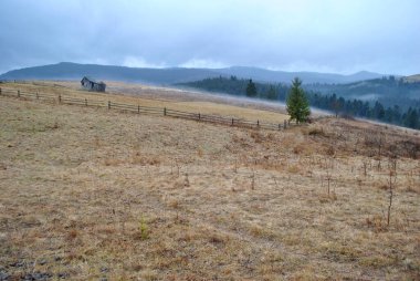 Arkasında bir dağ olan güzel bir manzara.