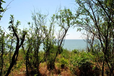 Güzel deniz manzarası ve kumsal.