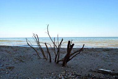 Deniz kıyısının güzel manzarası