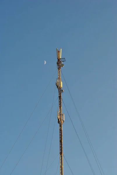 Antennák Kék — Stock Fotó
