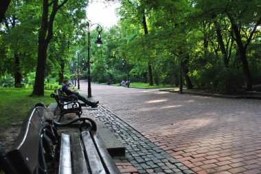 Parktaki banklar
