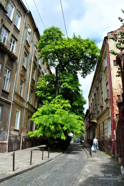 Vue Sur Rue Ville Lviv — Photo