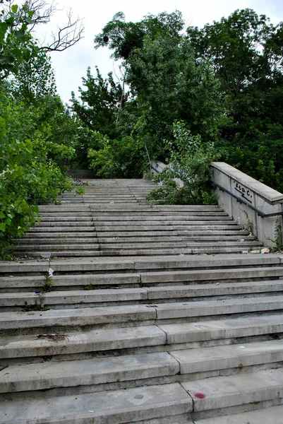Бетонные Лестницы Парке — стоковое фото