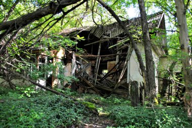 Ormandaki eski ahşap ev