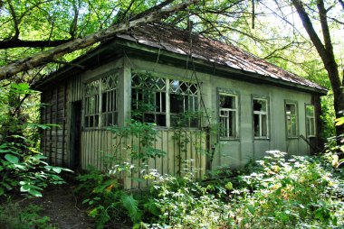 Bahçedeki eski ahşap ev