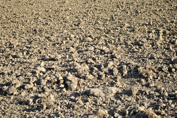 Текстура Почвы Поле — стоковое фото
