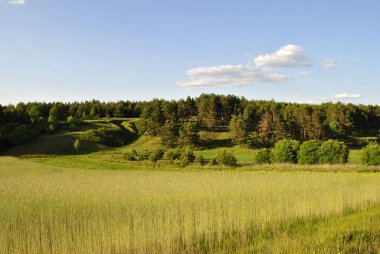 Yeşil çimen ve ağaçlarla kaplı yaz manzarası. Mavi gökyüzü ve bulutlar. 