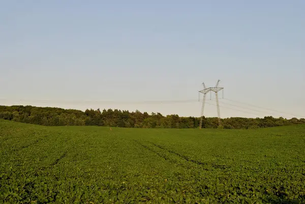 遠隔の送電線を備えた大きな緑の草の畑の美しい風景 — ストック写真