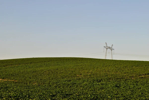 在绿色的田野中的风力涡轮机 — 图库照片