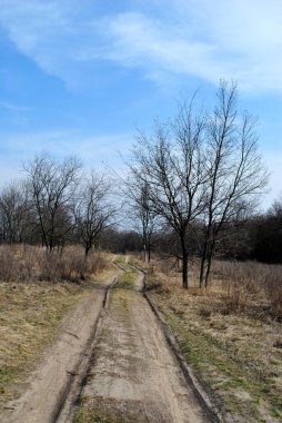 Ormanın ortasında bir yol.