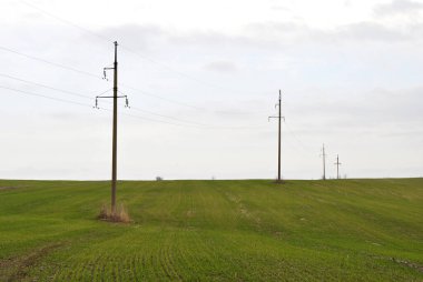 Kırsal alanda elektrik direkleri ve alanı