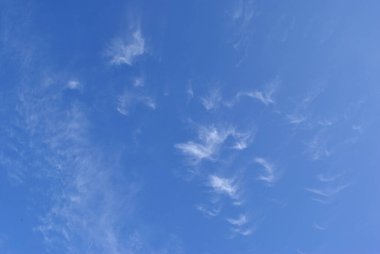 Mavi gökyüzünde beyaz kabarık bulutlar.